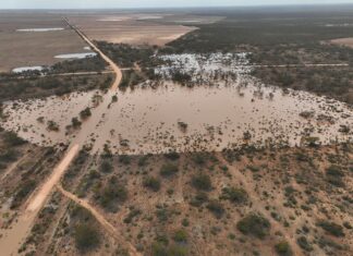 Wild – and welcome – storms drench region