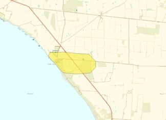 Firefighters attend Haslam grass fire