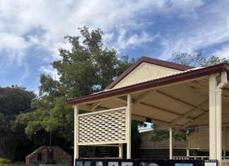 Kimba masters new plan