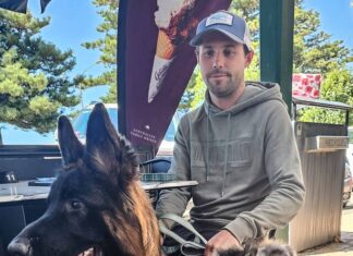 Old Dog New Tricks: The nose knows