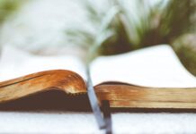 Good News for You – Snakes, mistakes and momentum