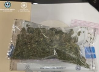 Drugs seized in Ceduna search