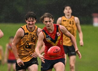 Best heads new wave of EP talent at Norwood