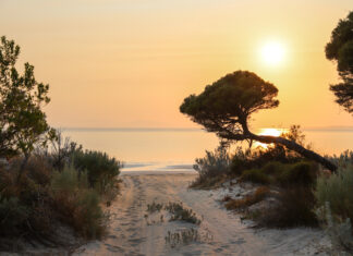 EP beyond the bitumen