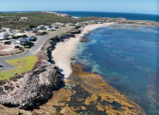 Feedback sought on revised Elliston plan
