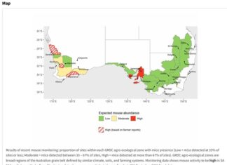Growers urged to act to reduce mice activity
