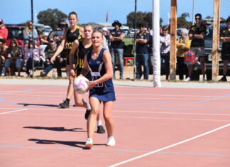 Hawks reload as premiership core returns