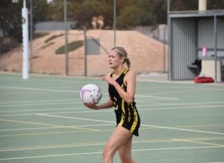 Westies enter new era under Freeman