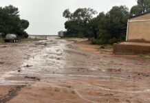Rain dumps 50mm in minutes