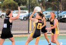 Tigers defeat Ports in tough tussle