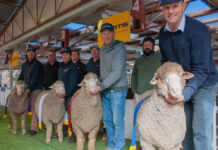 Explore 2026 Merino Expo