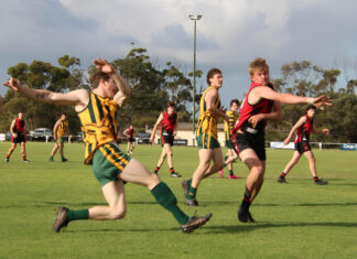 Leading Roos continue to excel