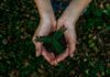Grants program returns to regenerate and revitalise communities