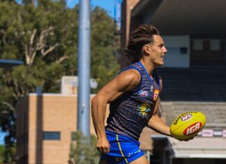 Newton backs AFL dream to continue