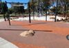 Feedback positive on Lock playspace concept