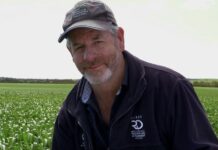 Grains research updates coming to Eyre Peninsula
